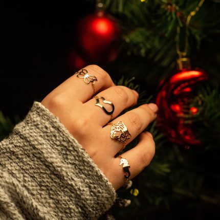 Perforated Butterfly Chain Ring